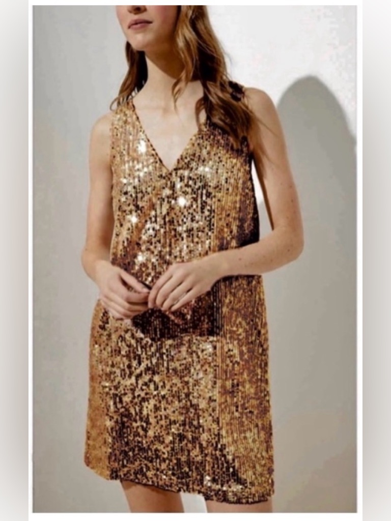 Loft Outlet Sleeveless V-Neck Sequin Party Dress In Gold